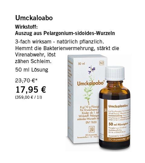 WEB-Angebote2511-26