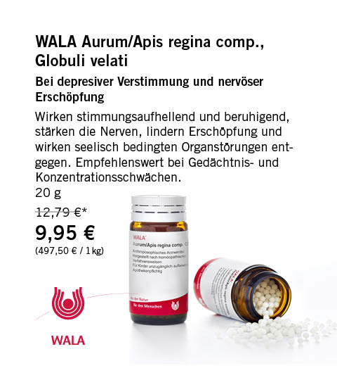 WEB-Angebote2609-6